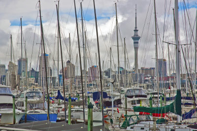 auckland accommodation