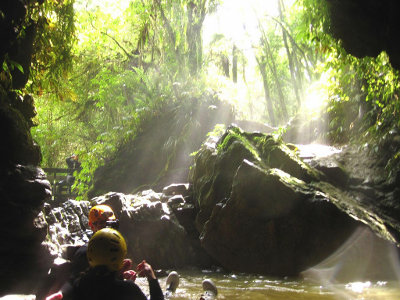 Waitomo Caves, Waikato